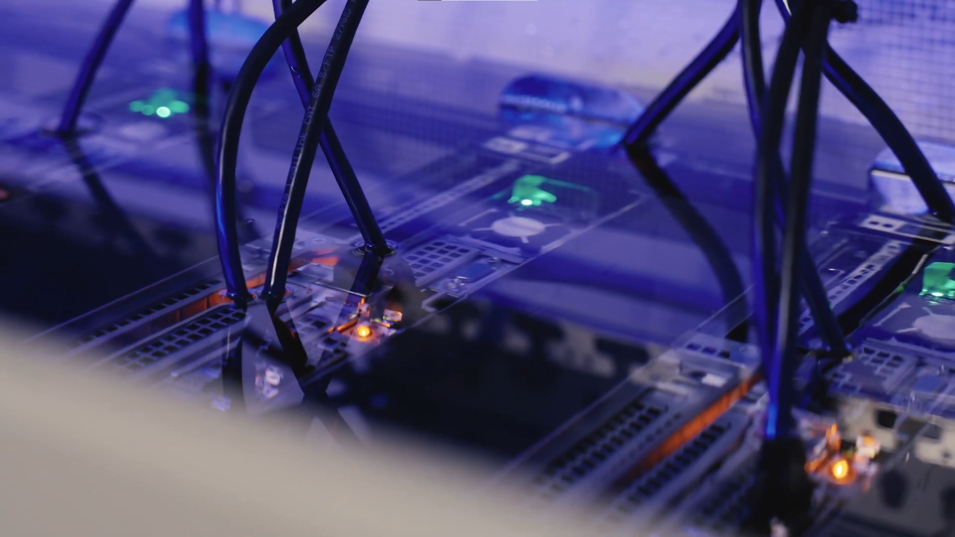 WUTR Project Results